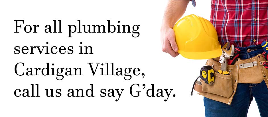 Plumber standing with tools on a white background with text relating to Cardigan Village plumbing services