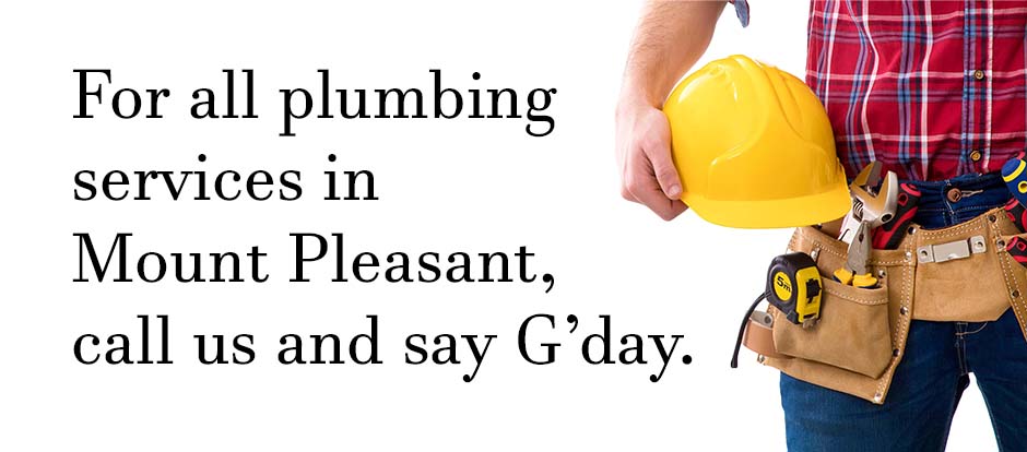 Plumber standing with tools on a white background with text relating to Mount Pleasant plumbing services
