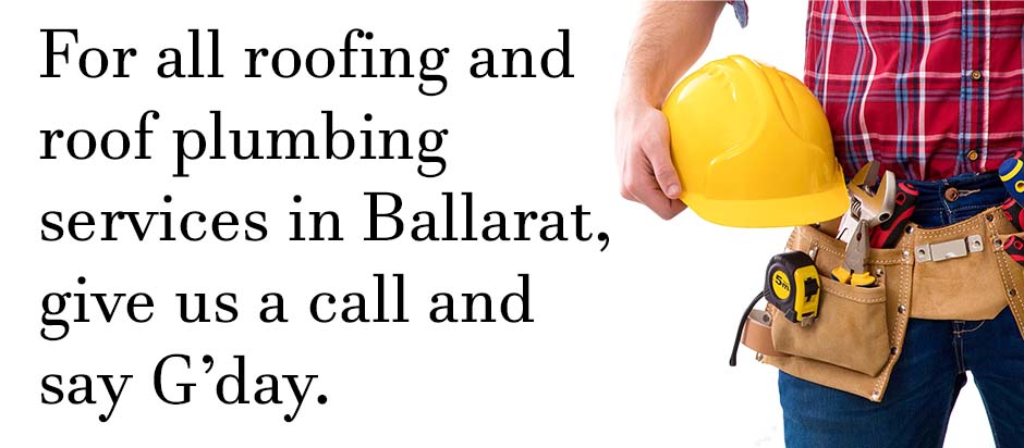 Plumber standing with tools on a white background with text relating to roof plumbing services