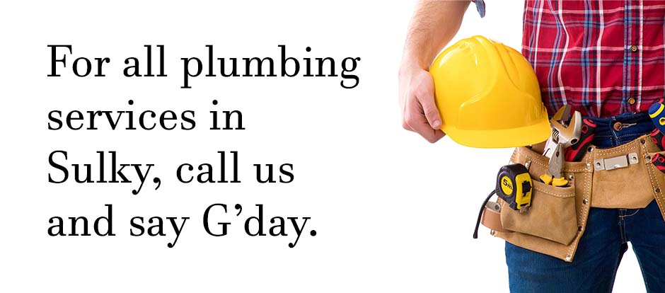Plumber standing with tools on a white background with text relating to Sulky plumbing services